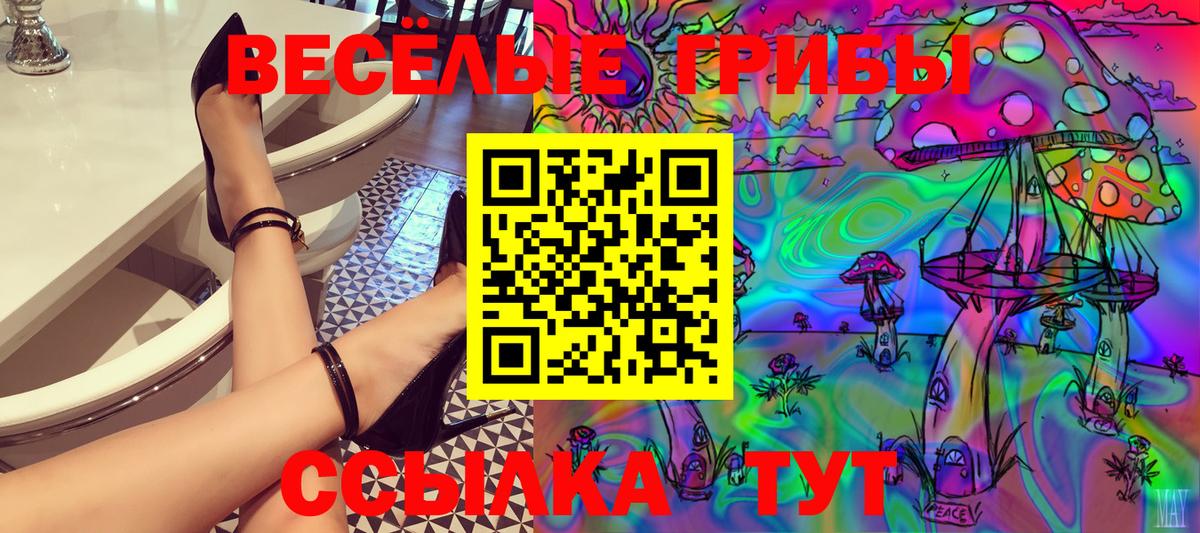Галлюциногенные грибы Psilocybe Чусовой