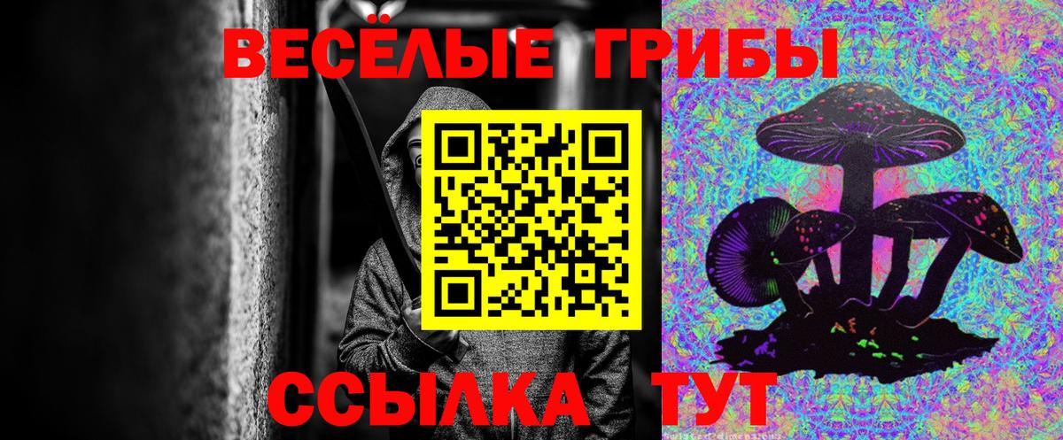 закладка  Вход с VPN  Чусовой  Псилоцибиновые грибы прущие грибы 